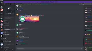 Discord raid bot update [upl. by Htiek]