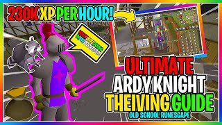 OSRS  How To Thieve Ardougne Knights  Up to 230K XP Per Hour   EVERYTHING YOU NEED TO KNOW [upl. by Terpstra406]