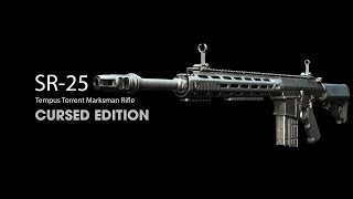 Cursed Guns  SR25 Edition [upl. by Currie981]