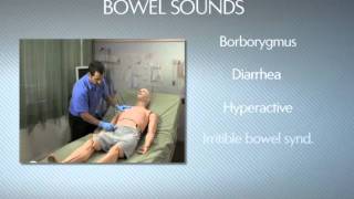 HAL® S3201  Part 9  Bowel sounds [upl. by Yztim]