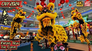 CNY 2024  Acrobatic Lion Dance by Kwong Ngai 光艺  The Curve 龙年春节 黄金双狮贺岁 高桩舞狮採青 鼓乐伴奏 [upl. by Arodnap]