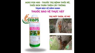 AGRI FOS 400 – THUỐC TRỊ BỆNH0776755793thuốcbảovệthựcvậtvn thanthu [upl. by Kendrah]