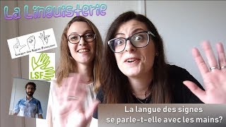 La Linguisterie 8  La langue des signes se parletelle avec les mains [upl. by Nnauol]