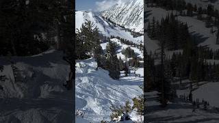 snowbird flyingsquirrelair contentgoblin👹 coolsong freeride [upl. by Ayar280]