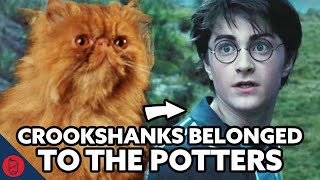 Harry Potter Theory Who Was Crookshanks Original Owner [upl. by Elo]