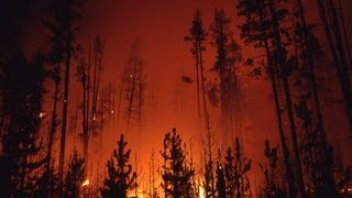 The Story Behind the Yellowstone Fires of 1988  Retro Report  The New York Times [upl. by Akehsay86]