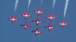 The Canadian Snowbirds [upl. by Suzetta]