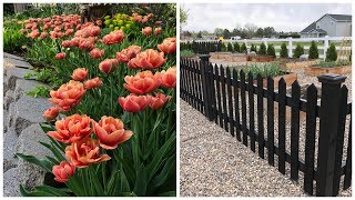 Spring Blooms amp Vegetable Garden Tour 🌸🥦😃 Garden Answer [upl. by Lia938]