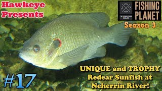 Fishing Planet  17  S3  Unique and Trophy Redear Sunfish at Neherrin River [upl. by Hteboj301]