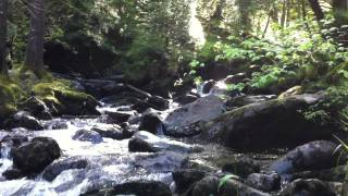 Donich Falls walk above Lochgoilhead in Argyll [upl. by Martin325]