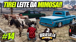 Brasilia RP2 14  FUI NUM RACHA ILEGAL e TRABALHEI de LEITEIRO GTA RP [upl. by Enamrahs]