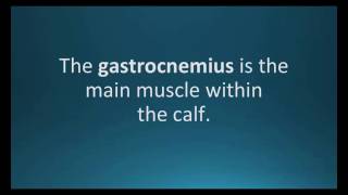 How to pronounce gastrocnemius Pharmcabulary for Memorizing Pharmacology Flashcard [upl. by Preciosa895]