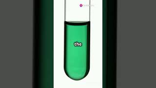 Le chateliers principle facts science chemistry [upl. by Eico]