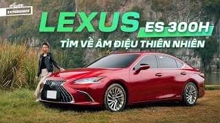 Cùng Hà Linh và Lexus ES 300h tìm về âm điệu thiên nhiên trong lành  The Xperience [upl. by Ajram855]