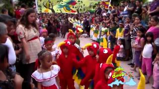 Danza De Las Guacamayas [upl. by Nednerb]