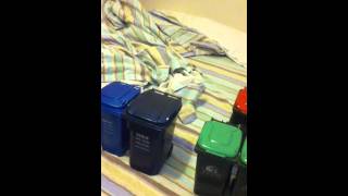 my mini bin collection [upl. by Anayhd]