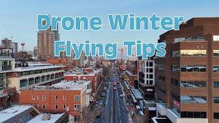 Done Winter Flying Tips [upl. by Aniretake]