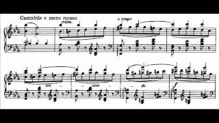 StraussGrünfeld  Soirée de Vienne Paraphrase on Fledermaus Cohen Audio  Sheet music [upl. by Garald454]