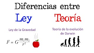 🍎 Diferencias entre Teoría y Ley 🐵 Fácil y Rápido  BIOLOGÍA  FÍSICA  QUÍMICA [upl. by Enitsirk109]