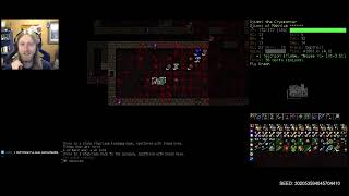 DCSS Djimmi  Makhleb Djinni Part 10  Dungeon Crawl Stone Soup 031 [upl. by Eitsirc]