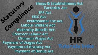 Statutory Compliance  Labour Law Compliance  HR Tutorials India  What is Statutory Compliance [upl. by Aida]