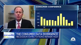 Consumers are feeling the uncertainty of the economy says The Conference Boards Steve Odland [upl. by Warfore]