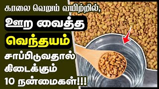 வெந்தயம் மருத்துவ நன்மைகள்  Top 10 Health Benefits of Soaked Fenugreek Seeds in Tamil  venthayam [upl. by Lertnom]