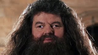 MAD HAGRID [upl. by Sully814]