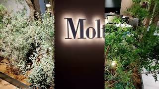 MolteniampCs 2022 New Collection Unveiled at Milan Design Week [upl. by Linad]