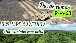 329 ILPF CAATINGA  Um caminho sem volta Parte 03 [upl. by Asilehc293]