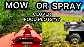 CLOVER FOOD PLOTS MOW OR SPRAY [upl. by Akemal]