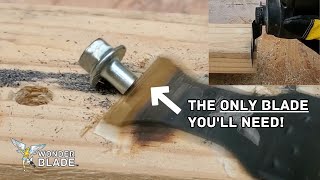 The ONLY Oscillating Tool Blade Youll Ever Need How to Find the Best Oscillating Tool Blades [upl. by O'Rourke175]