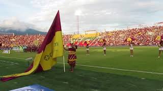 REVOLUCION VINOTINTO SUR BENGALIZA [upl. by Aelegna]