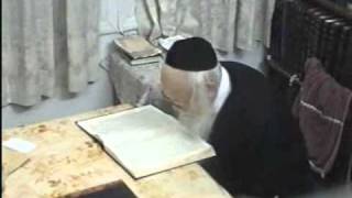 Rabbi Moreinu Ha Rav Elyashiv Shtaigging  Learning  Rare Video Footage [upl. by Sadnalor780]