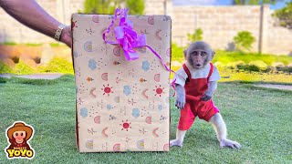 Monkey YiYi was very surprise when grandpa gave her a gift [upl. by Etnoled]