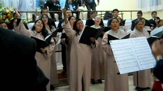 coro iep arica [upl. by Acinimod]