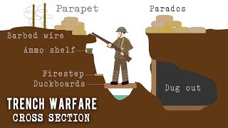 Trench Systems Cross Section [upl. by Abbott]