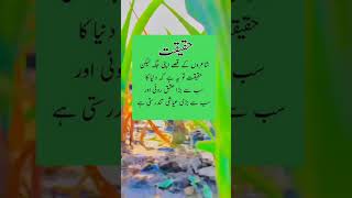 شاعروں کے قصے اپنی جگہ 😯 Shayron k qisy apni jaga reel reels reelsshorts reelsvideo [upl. by Nodnab909]