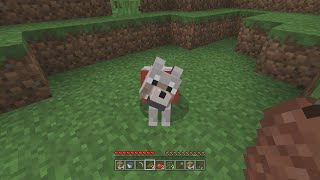 Minecraft Xbox Nostalgia [upl. by Anselma]