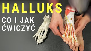 HALLUKSHALUKS  jakie ćwiczenia na paluch koślawy  dr n med Marcin Wytrążek [upl. by Rogergcam]