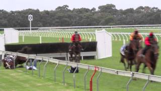 Cranbourne Carnage More dramatic falls in Victorian jumps racing [upl. by Bearnard]