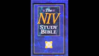 The Book of 1st Samuel NIV Audio Bible Non Dramatized [upl. by Aillicec]