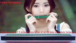 Notes description of 48 holes tremolo harmonica 0  details is in description [upl. by Abernathy]