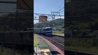 長めのコンテナを繋いでる貨物列車はテンション上がります‼️✨✨ ユークtv ゆる鉄 鉄道のある風景 電車 四国旅客鉄道 train jr四国 railway jr貨物 ef210 [upl. by Hannover]