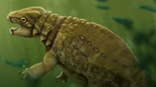 Tiny Armored Dinosaur Was A FishEating TurtleMimic  Prehistoric News [upl. by Ramsay]