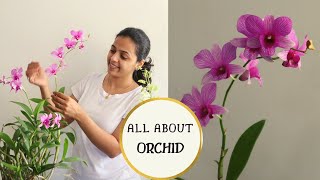 How to care for an Orchid Plant Indoors  Easy Orchid Care Tips for Beginners  Garden Vibes [upl. by Skiest775]