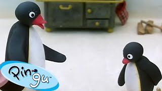 Pingu Gets Into Trouble 🐧  Pingu  Official Channel  Cartoons For Kids [upl. by Loretta517]