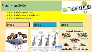 373 Evolution may lead to speciation Natural selection AQA A level Biology [upl. by Nylad]