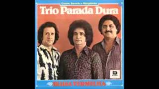 Endereço da Felicidade  Trio Parada Dura [upl. by Smukler]