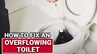 How To Fix An Overflowing Toilet  Ace Hardware [upl. by Lydon452]